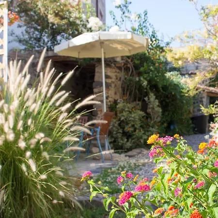 Daire Domo Bangone - Sa Corte *